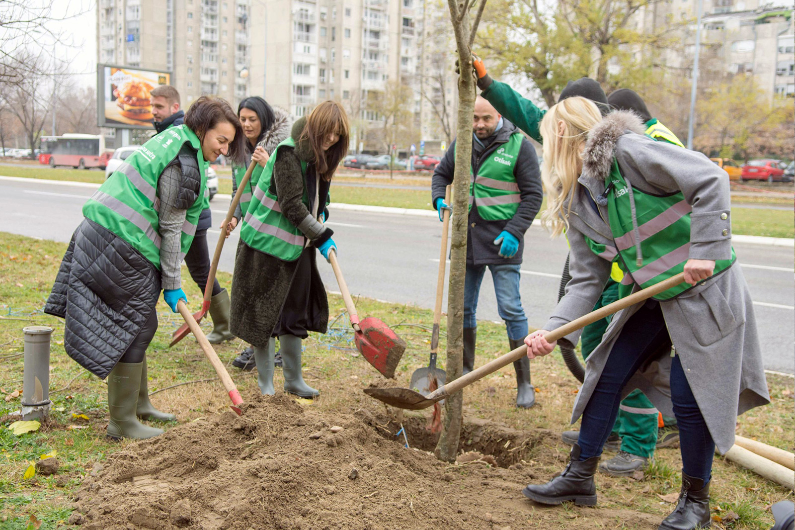 sadnja-drveca-novi-beograd-milutina-milankovica-04