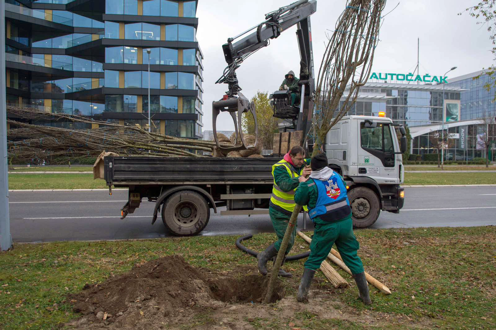 sadnja-drveca-novi-beograd-milutina-milankovica-06