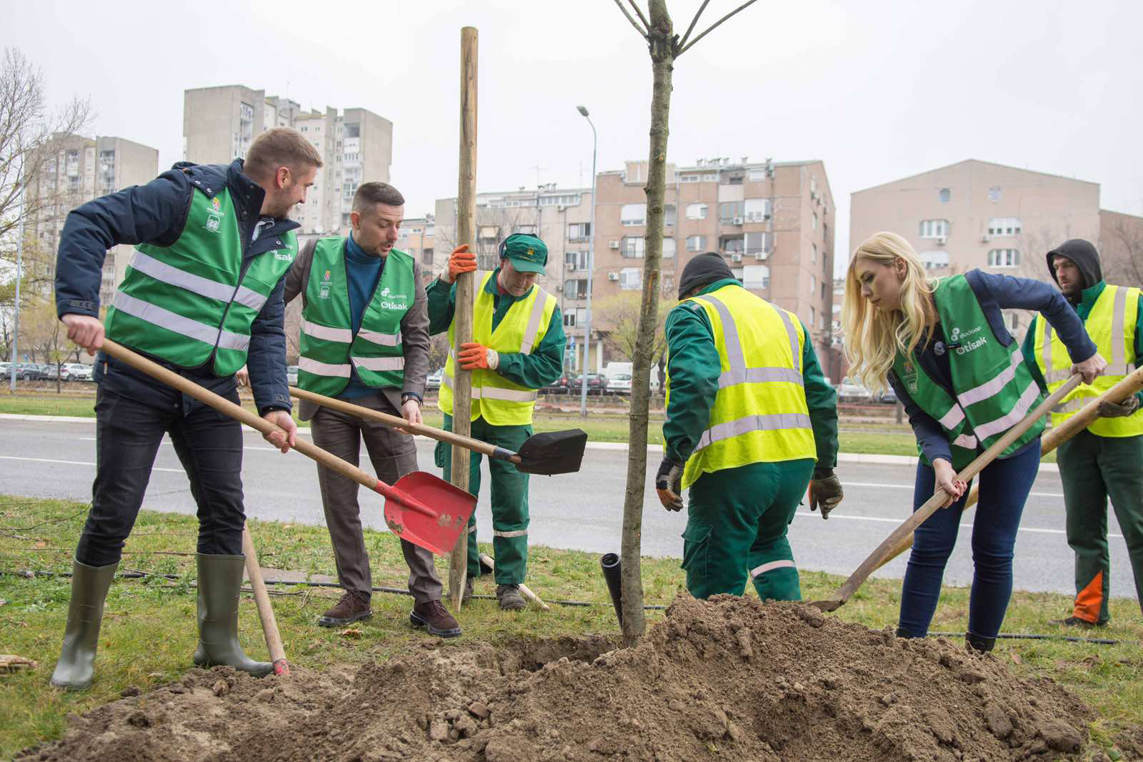 sadnja-drveca-novi-beograd-milutina-milankovica-10