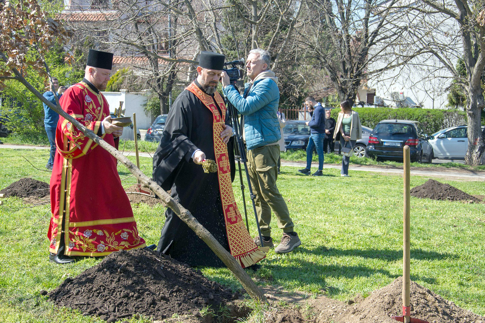 sadnja-hrasta-zeleni-nbg-04