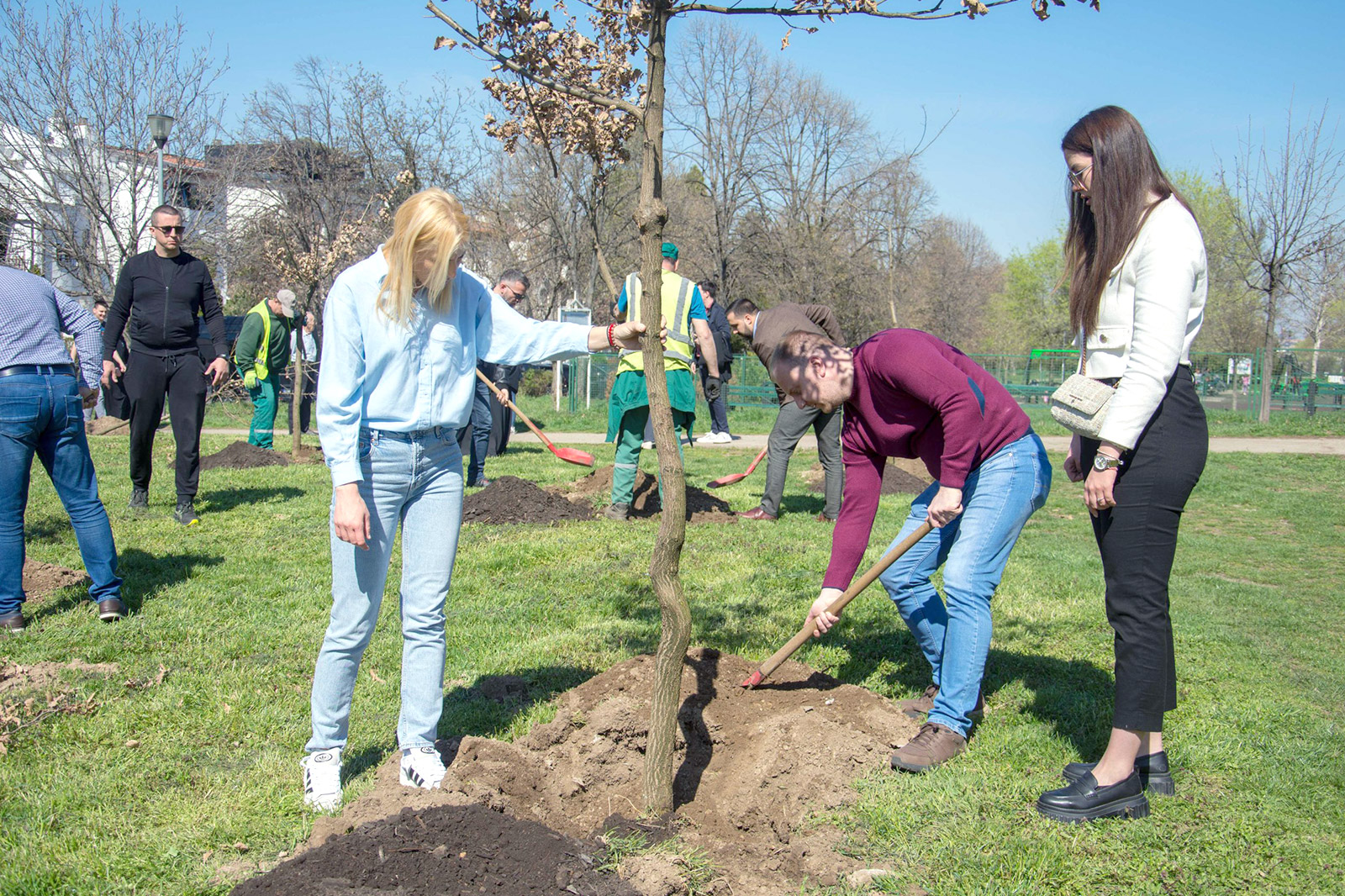 sadnja-hrasta-zeleni-nbg-05