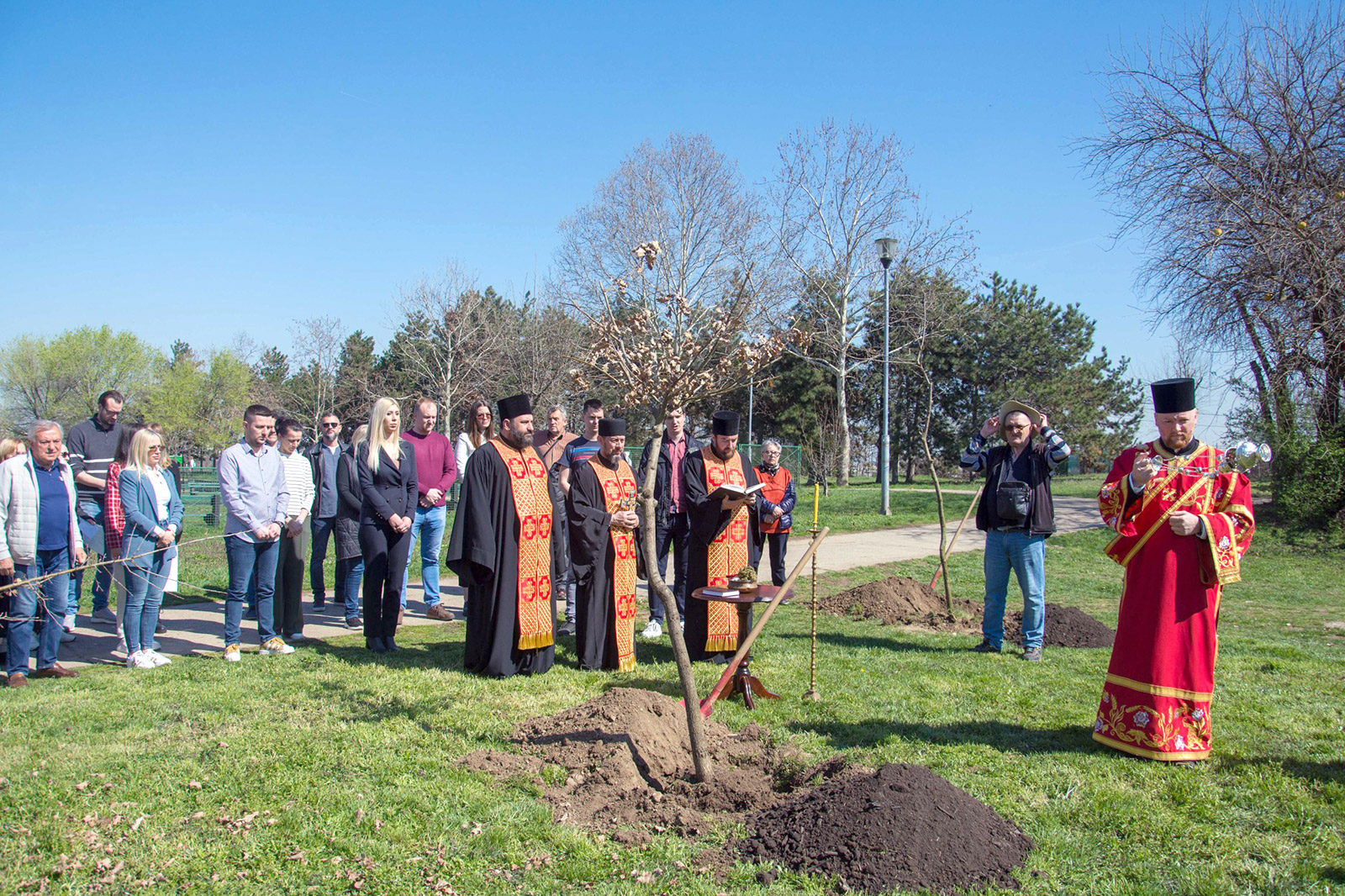 sadnja-hrasta-zeleni-nbg-06