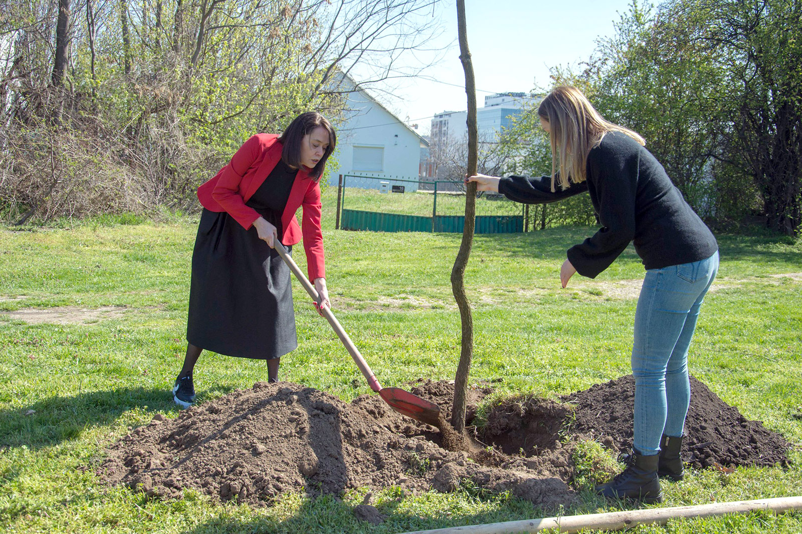 sadnja-hrasta-zeleni-nbg-08