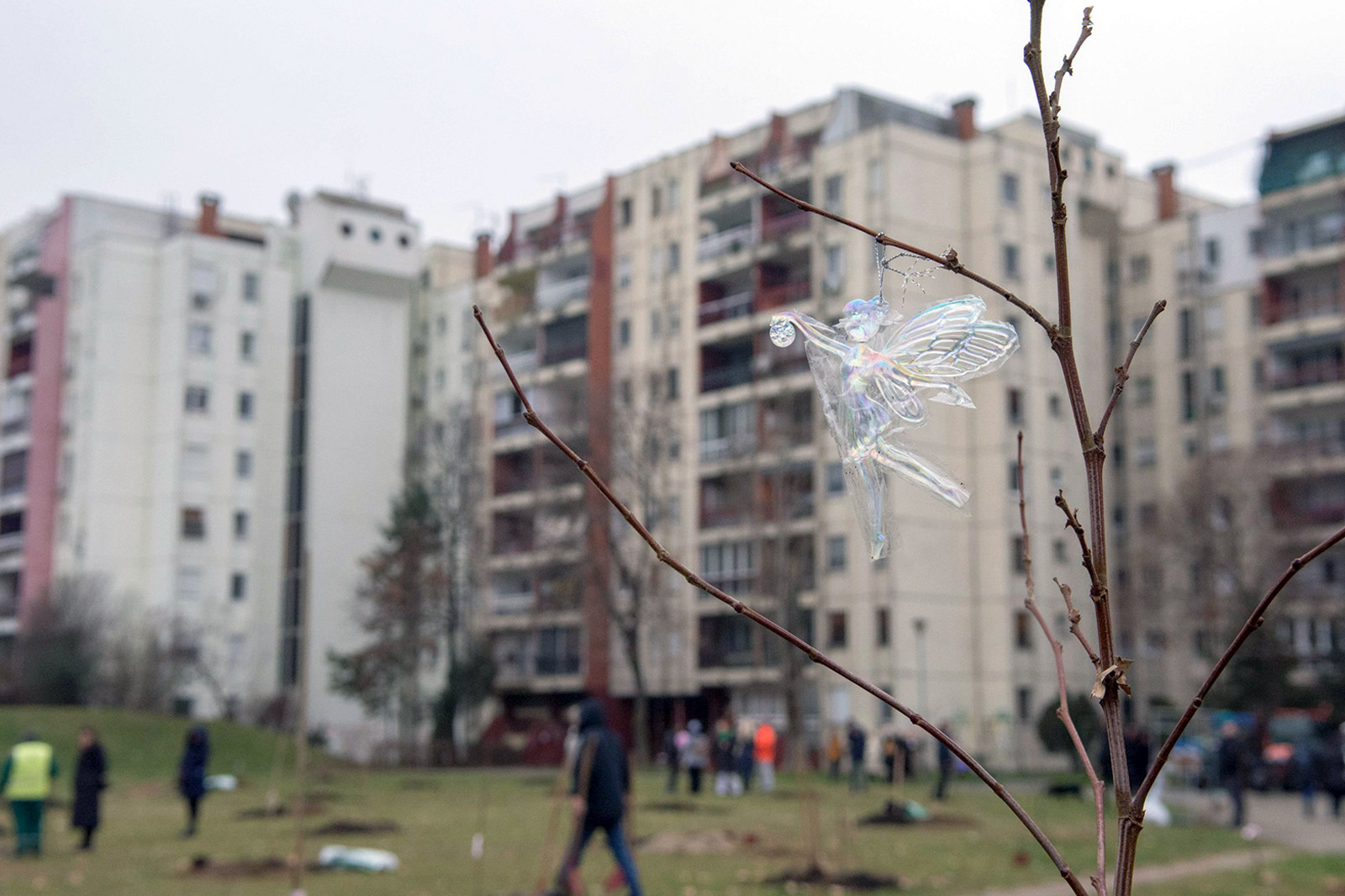 vrt-nade-nbg-sadnice-drveca-09