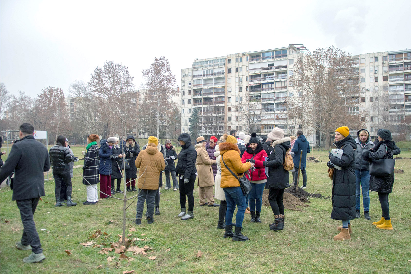 vrt-nade-nbg-sadnice-drveca-14