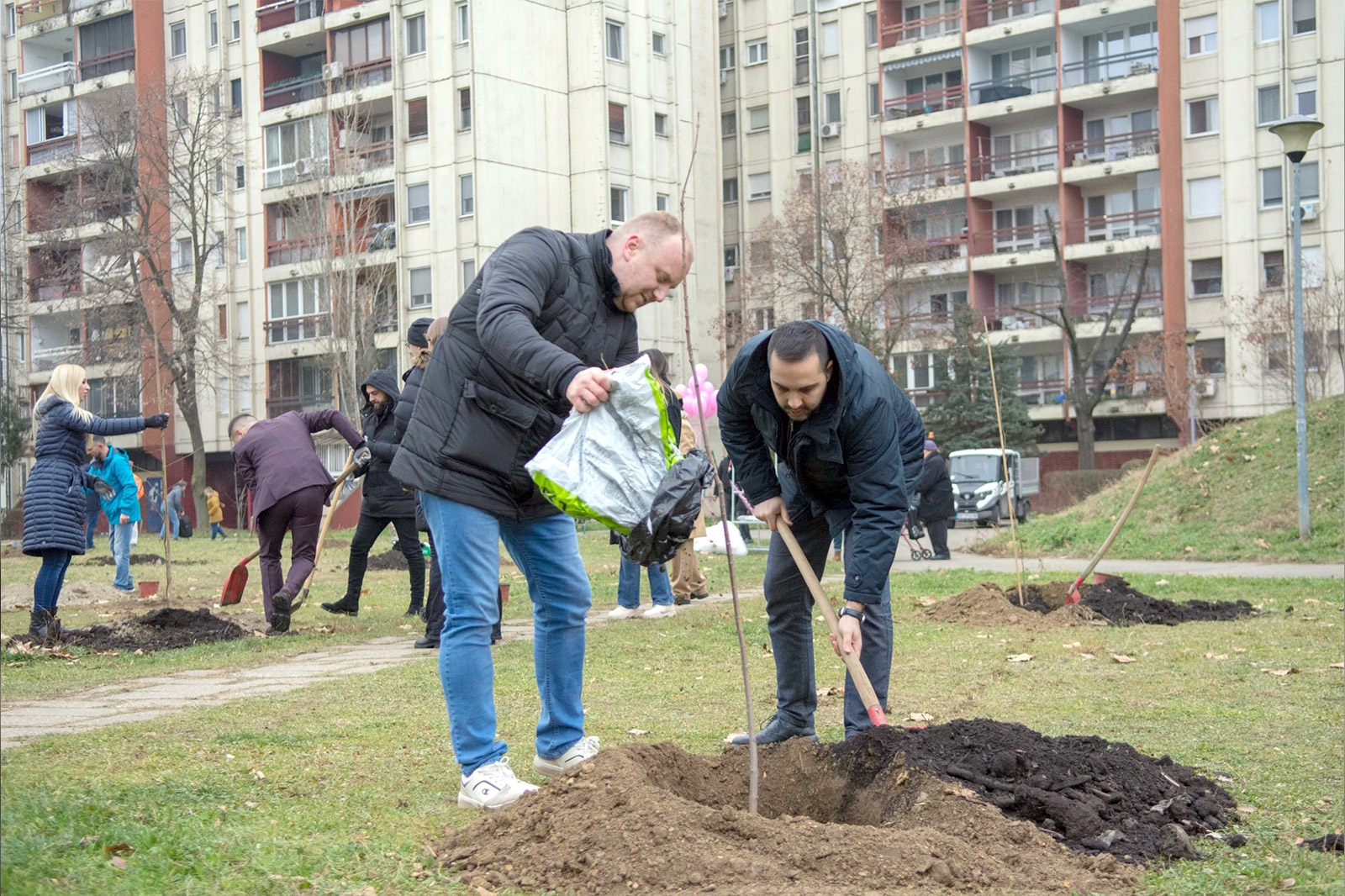 vrt-nade-nbg-sadnice-drveca-15