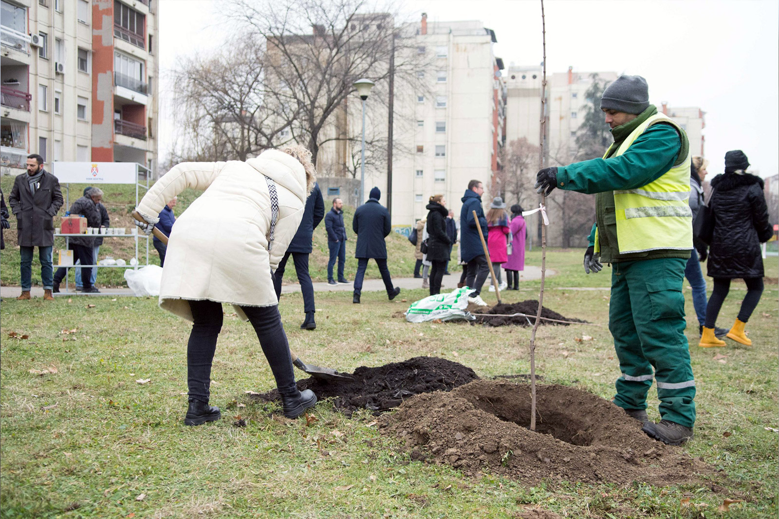 vrt-nade-nbg-sadnice-drveca-16