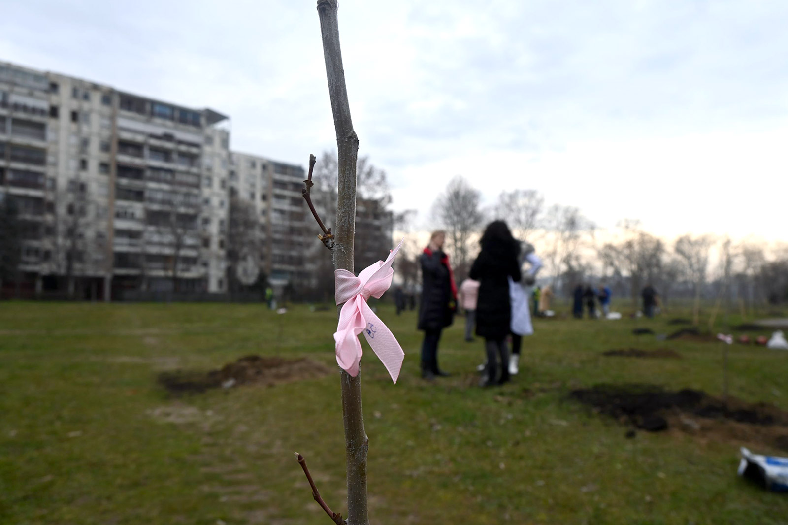 vrt-nade-nbg-sadnja-07