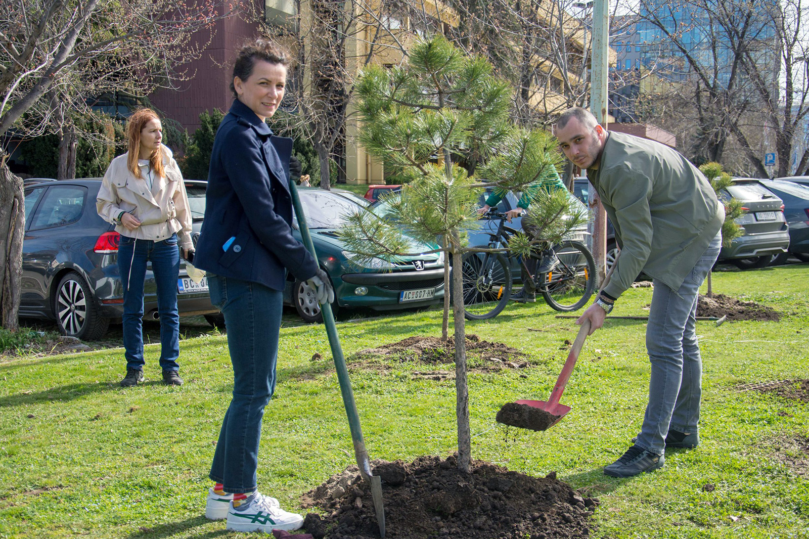 zeleni-nbg-drvece-06