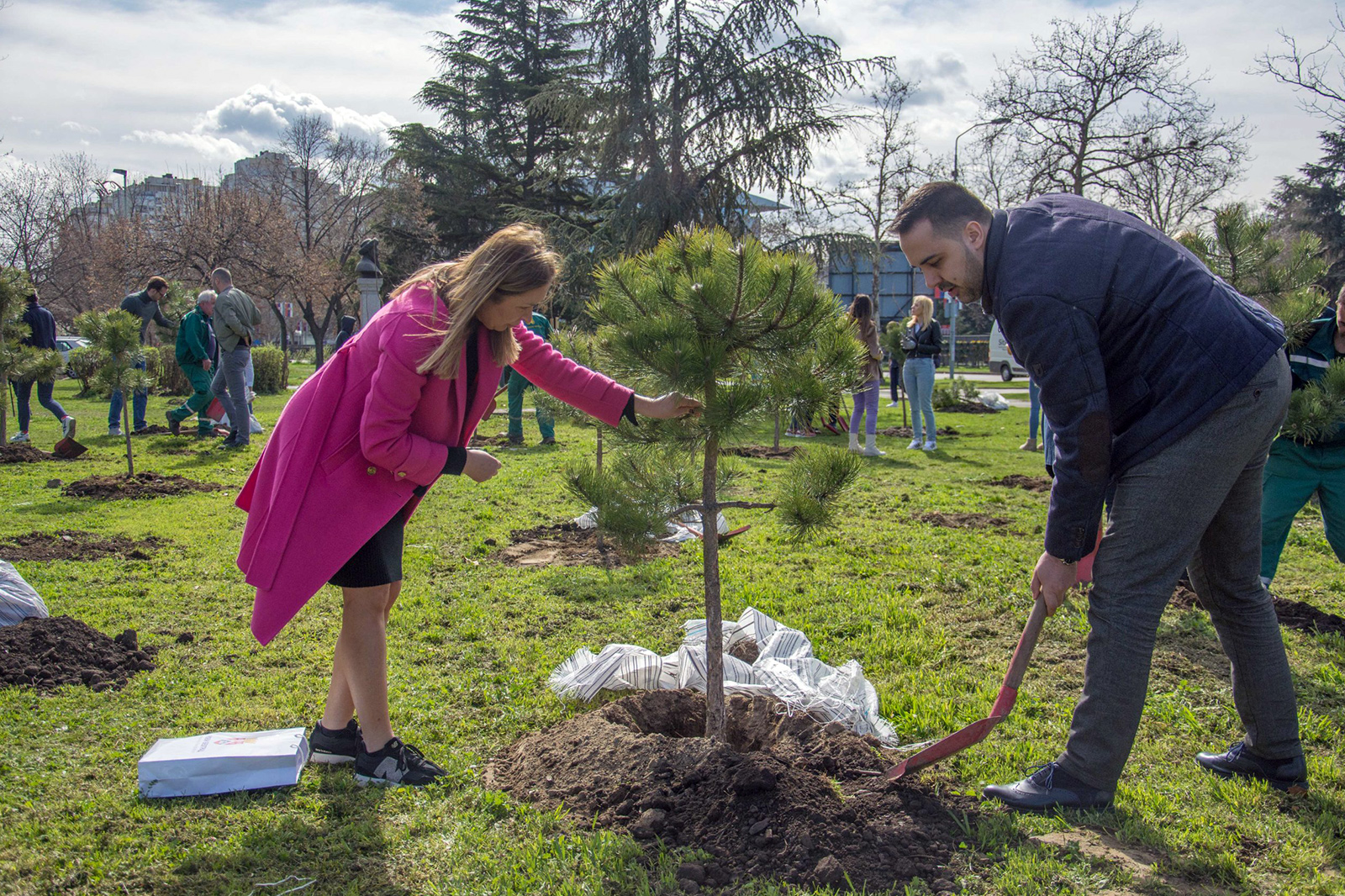 zeleni-nbg-drvece-07