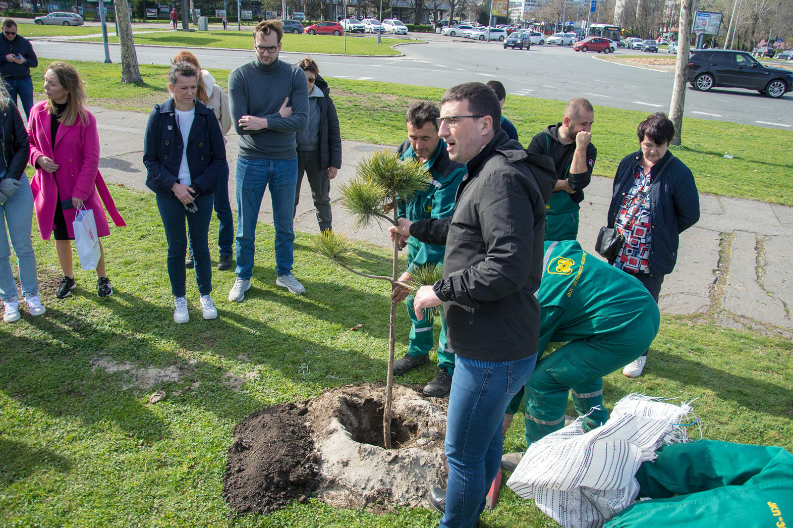 zeleni-nbg-drvece-09