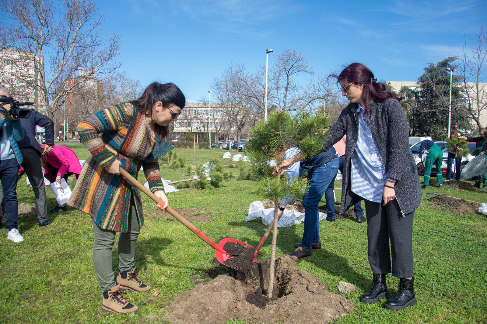 zeleni-nbg-drvece-13