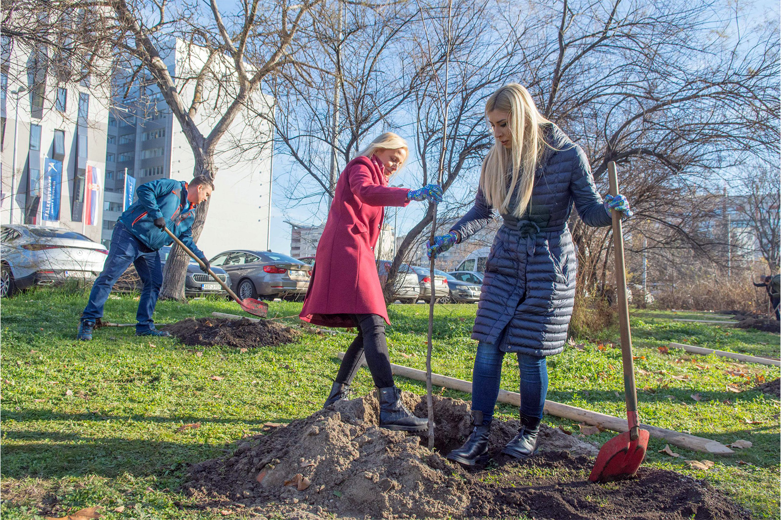 zeleni-nbg-tresnjin-cvet-01