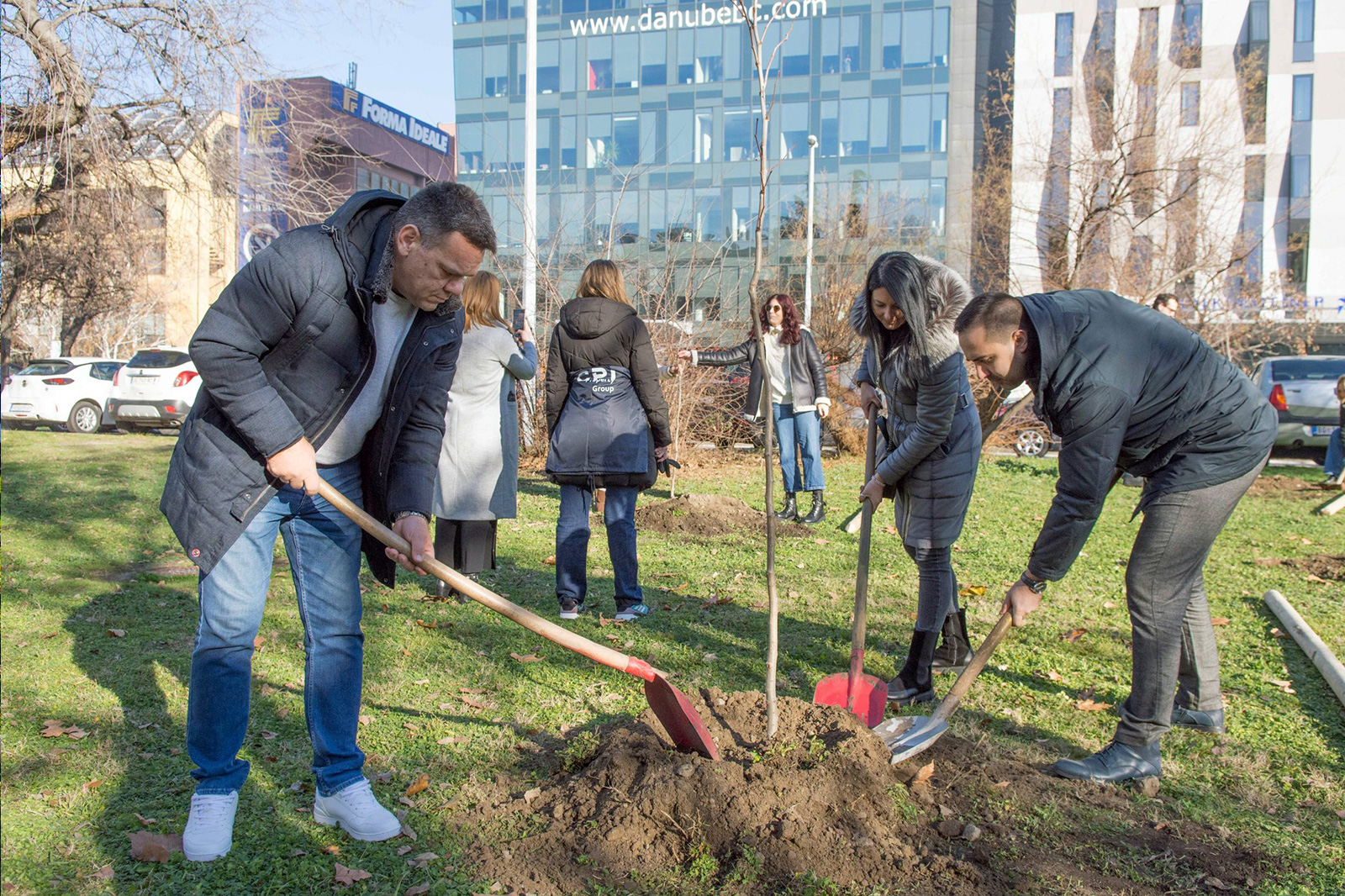 zeleni-nbg-tresnjin-cvet-06